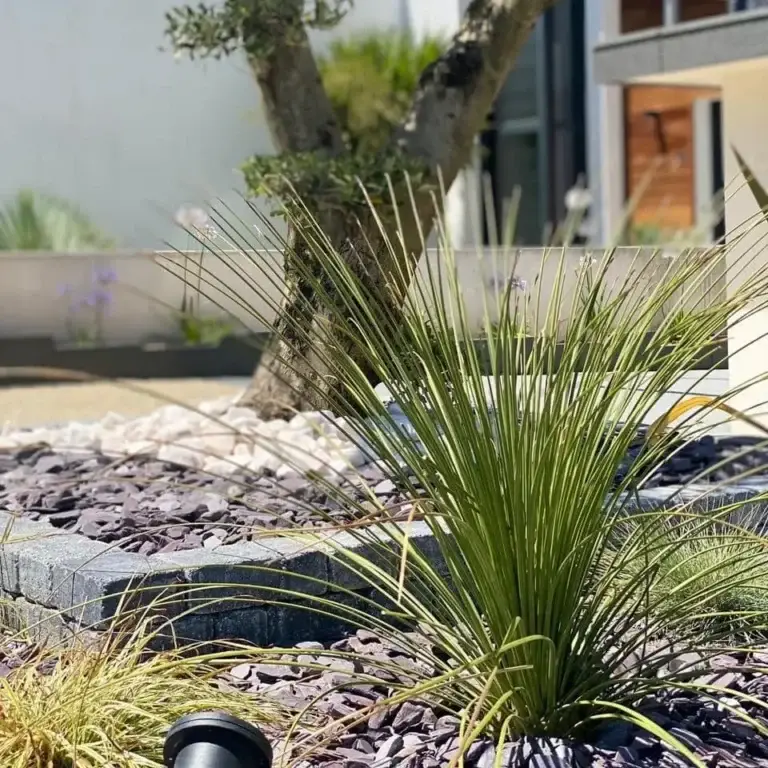 Aménagement paysager